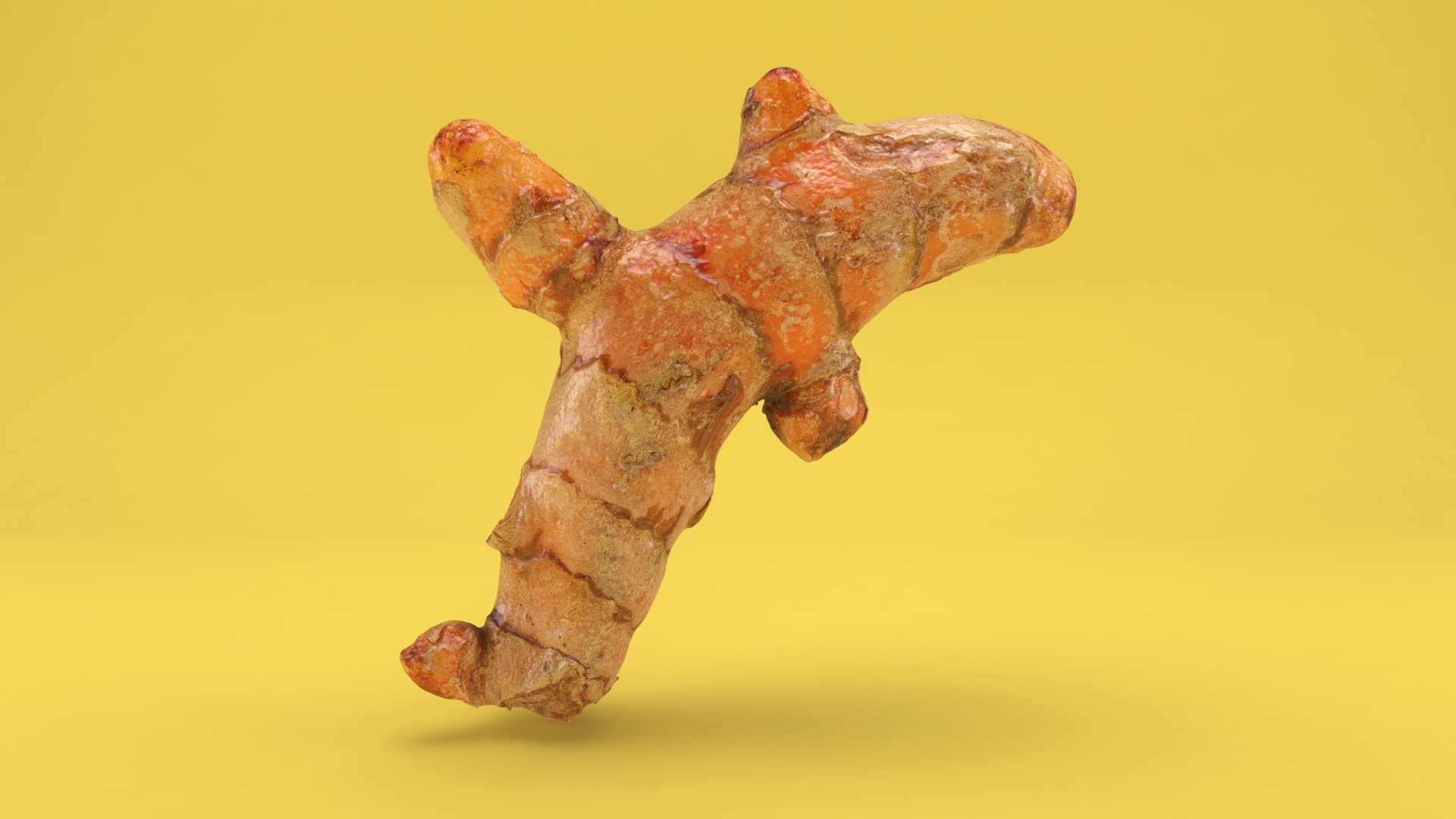 3D Turmeric v2 Set model - TurboSquid 1866373