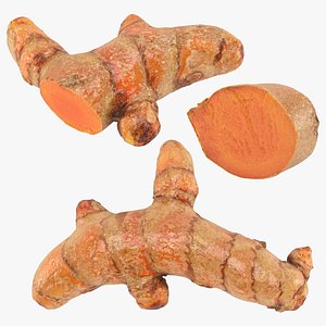 3D Turmeric v2 Set model