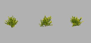 small plants 09 3D model