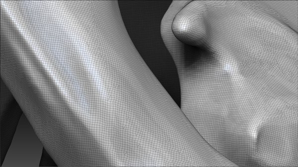 modelo 3d Esqueletos completos de SubTyrannosaurus Rex - SubREX ...