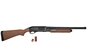 shotgun