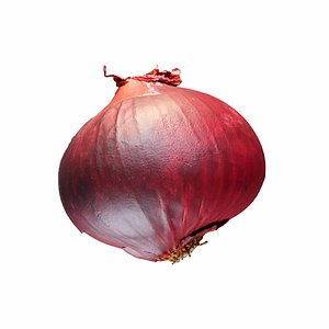 3D Red Onion model