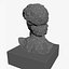 David Bust