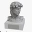 David Bust