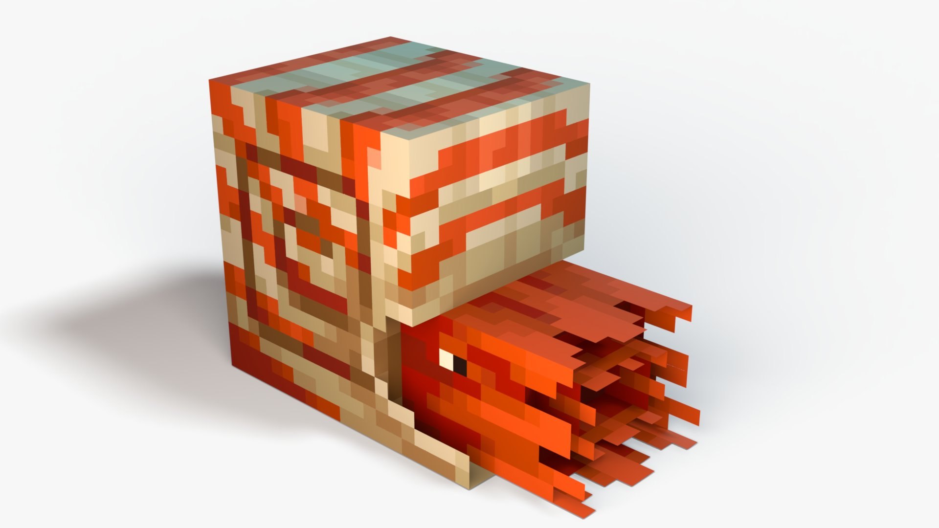 3D Minecraft Nautilus https://p.turbosquid.com/ts-thumb/TV/U7hS1P/Zb/4/jpg/1773569392/1920x1080/fit_q87/0c9c82155a8c8b65077ec920910eef18e2b1a632/4.jpg