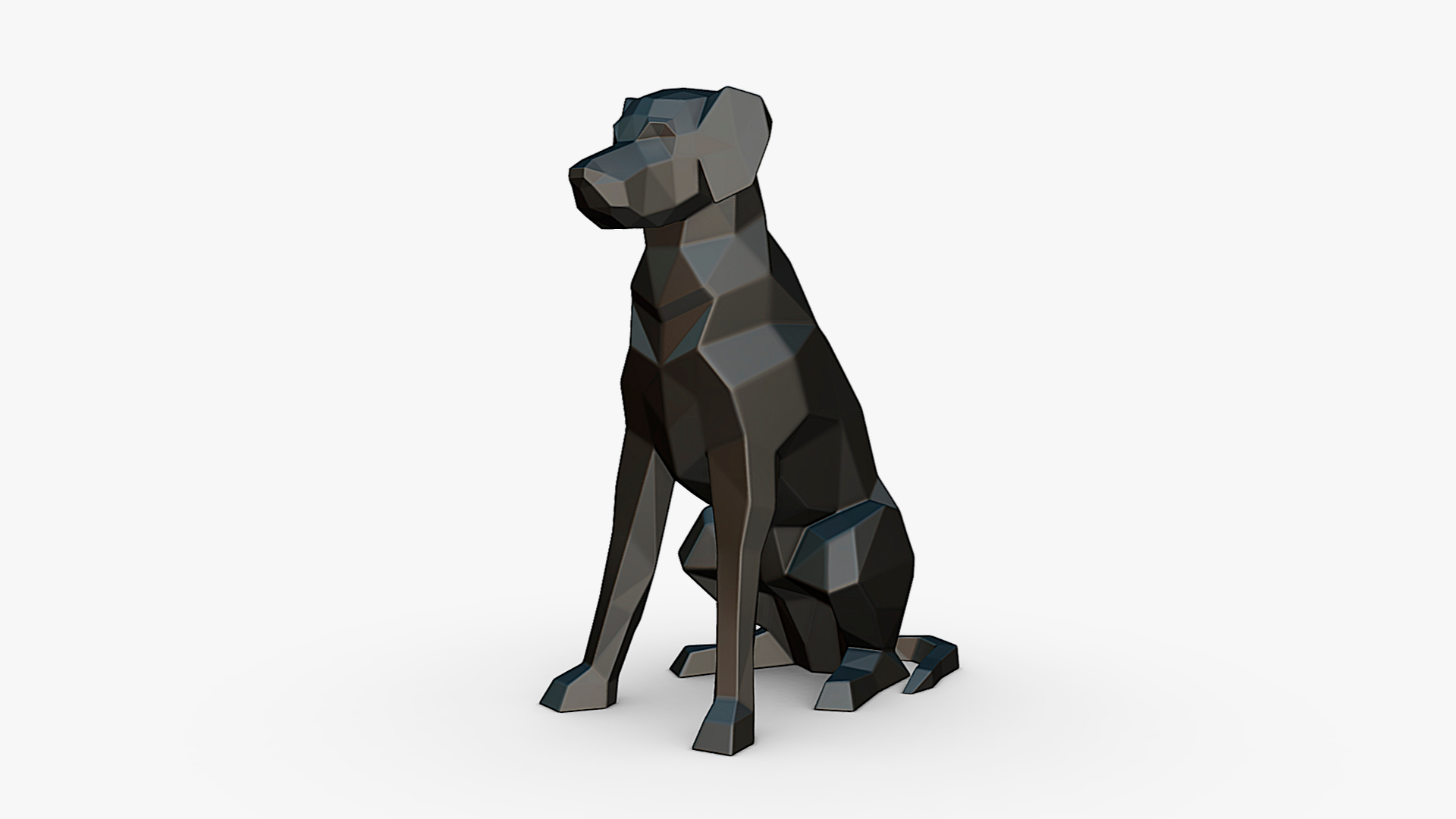 Border Collie Labrador Mix Model - TurboSquid 2292604