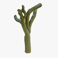 Tree Trunk 300cm
