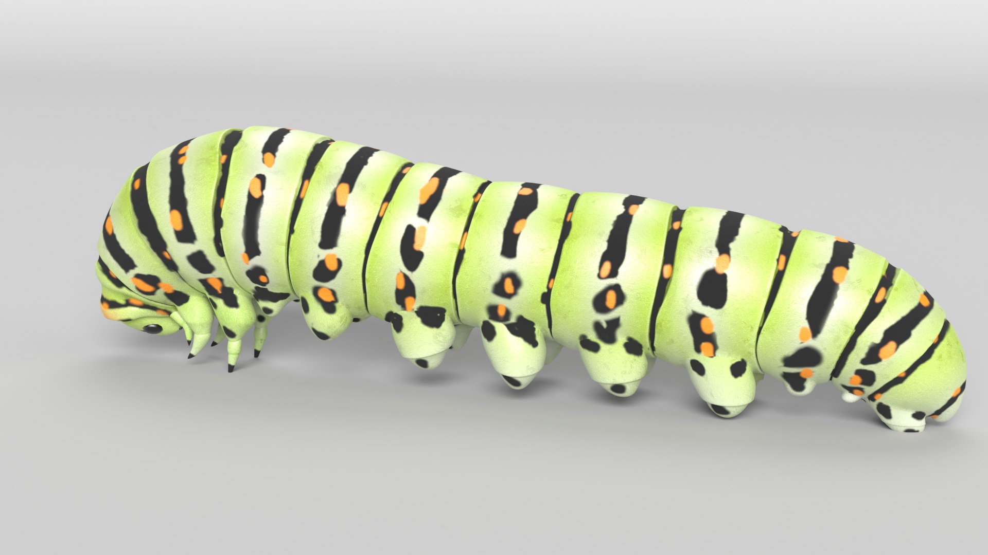 caterpillar nature insect 3D model https://p.turbosquid.com/ts-thumb/TV/ZGrvSN/Ol/caterpillar_images0012/png/1607710463/1920x1080/fit_q87/97765bee5463a17661f80d2800eefcfd7293c60d/caterpillar_images0012.jpg