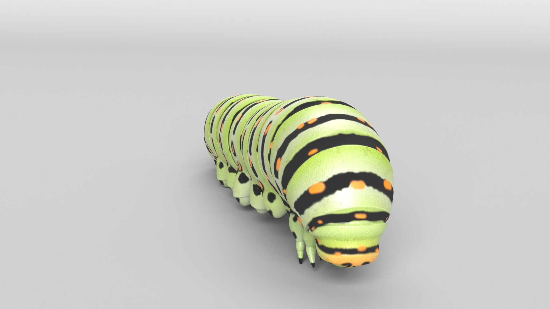 caterpillar nature insect 3D model https://p.turbosquid.com/ts-thumb/TV/ZGrvSN/l9/caterpillar_images0018/png/1607710463/1920x1080/fit_q87/6507ca401a9cdf469ff50524305e2f17e63d49f7/caterpillar_images0018.jpg