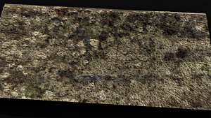 3D landscape plants bushes field large area part2 drone scan model