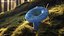 Lactarius Indigo