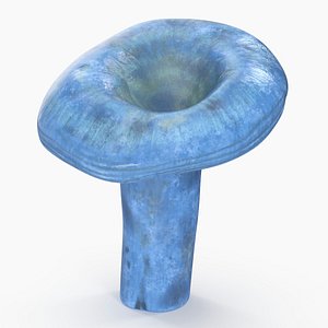 Lactarius Indigo 3D model