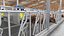 Grange de ferme de vaches 01