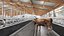 Grange de ferme de vaches 01