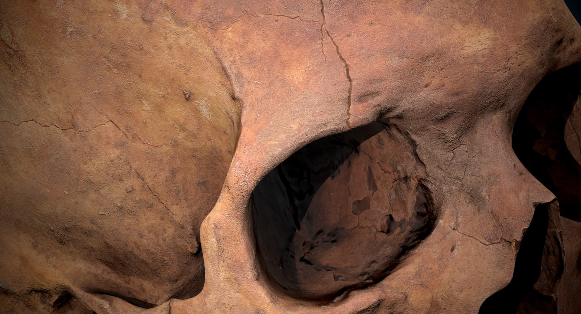 3D real skull model https://p.turbosquid.com/ts-thumb/TV/rfaBVn/1y5QdA9j/screenshot022/png/1555186662/1920x1080/fit_q87/f263c237203daef7cce42a8d2a264a0054819222/screenshot022.jpg