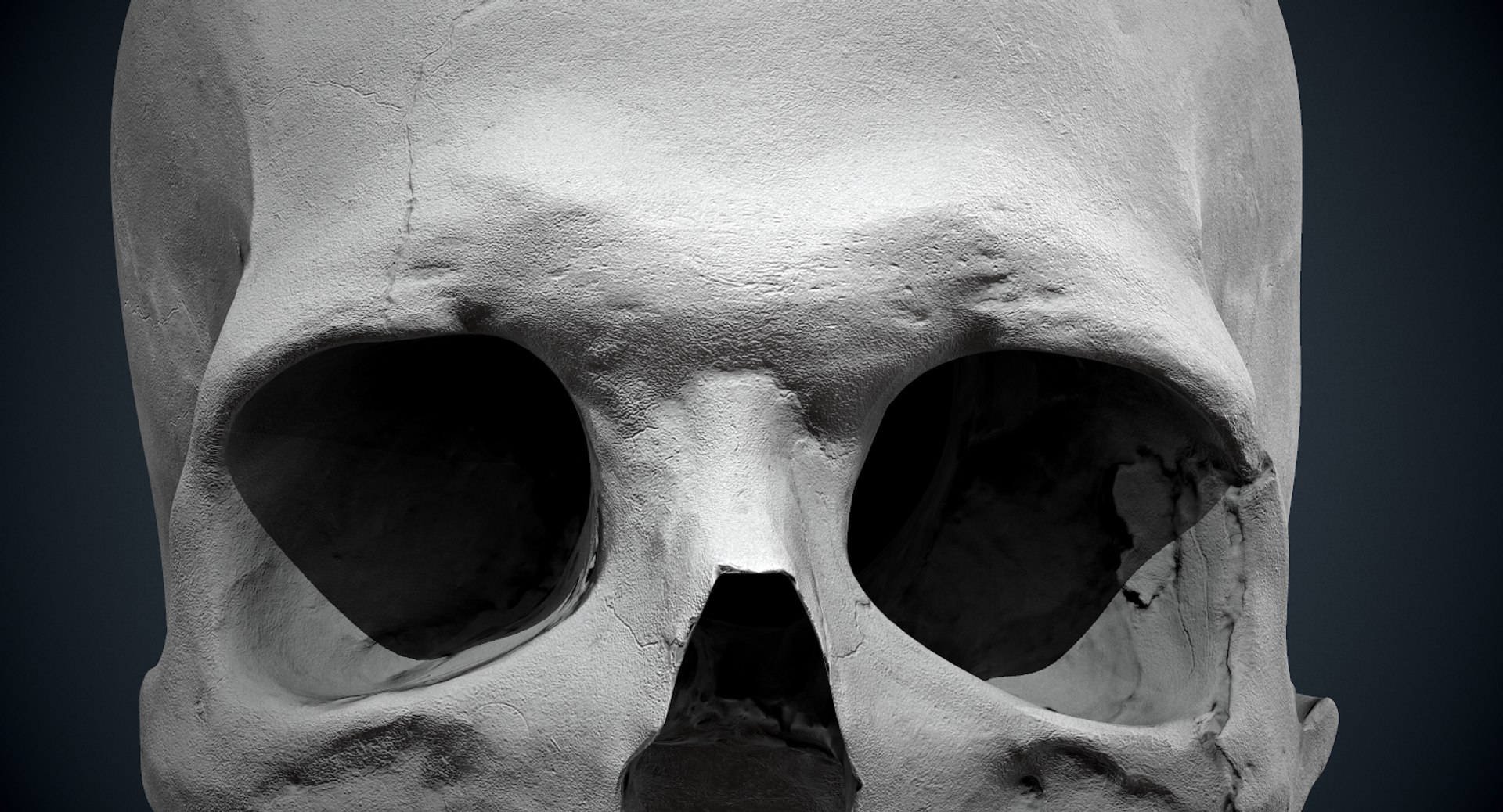 3D real skull model https://p.turbosquid.com/ts-thumb/TV/rfaBVn/SE3a61nF/screenshot040/png/1555186662/1920x1080/fit_q87/78b9cbbb3b593a6c0ac33cb96c28495ffe930cd1/screenshot040.jpg