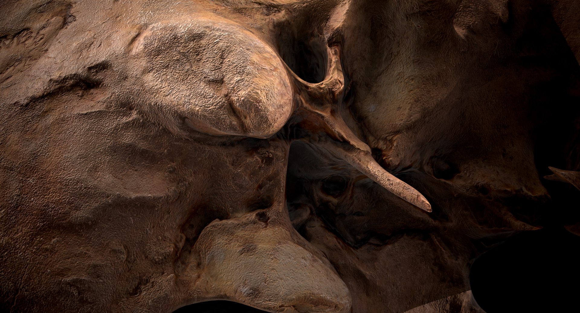 3D real skull model https://p.turbosquid.com/ts-thumb/TV/rfaBVn/dqCRRgzW/screenshot012/png/1555186661/1920x1080/fit_q87/1e1e29ea28c457897b487bbd9d4481d75a80c296/screenshot012.jpg