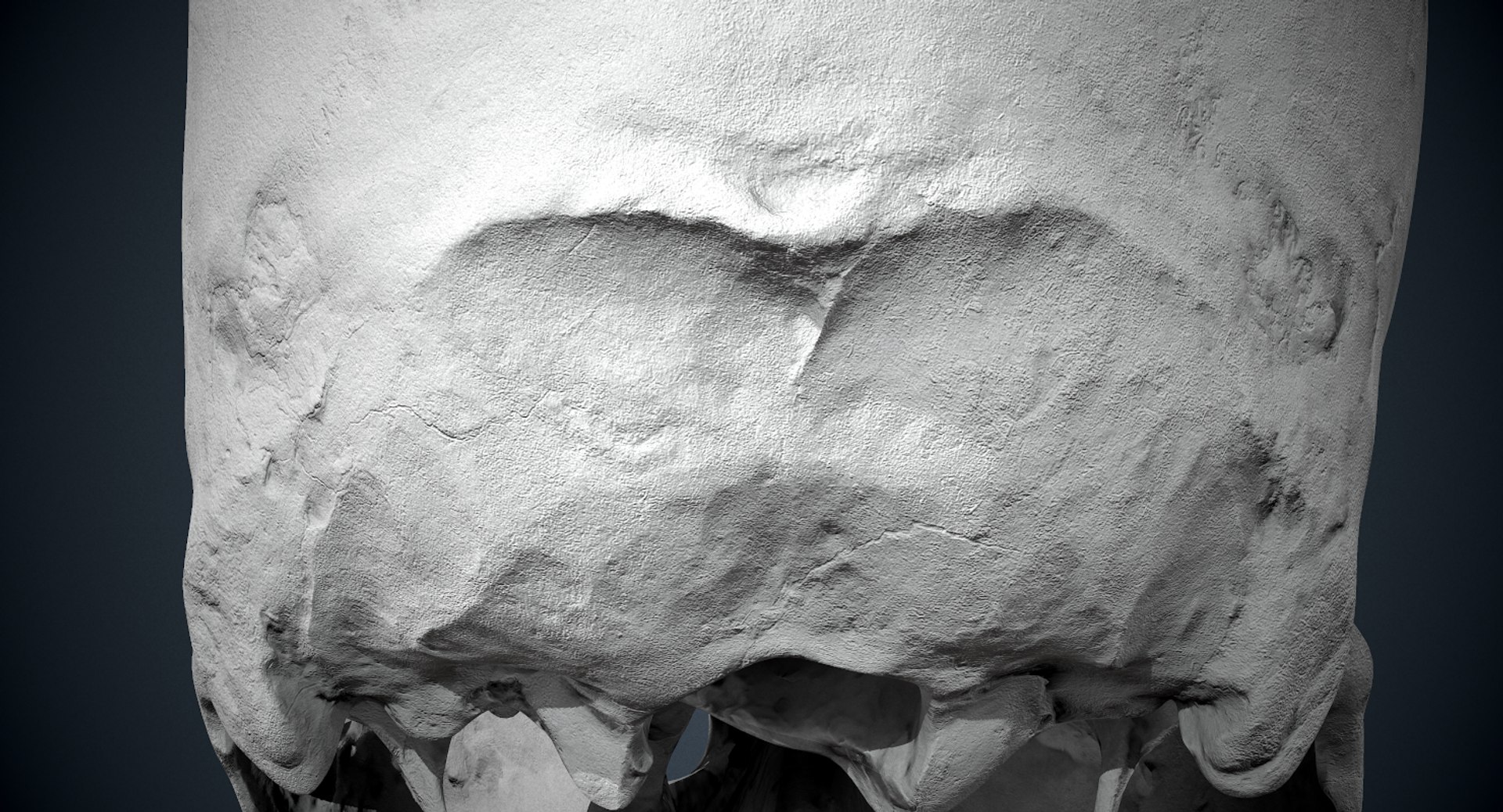 3D real skull model https://p.turbosquid.com/ts-thumb/TV/rfaBVn/e4LNfbng/screenshot041/png/1555186662/1920x1080/fit_q87/c489071f3300fea8bdd7bd06147ff7a38446c2ba/screenshot041.jpg