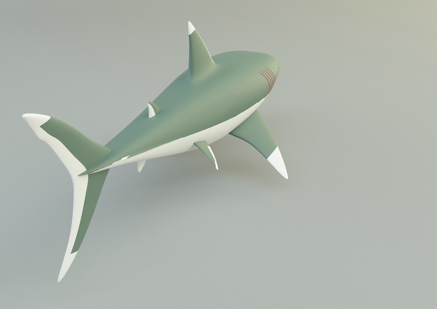 Megalodon Shark Model Model - TurboSquid 2067282