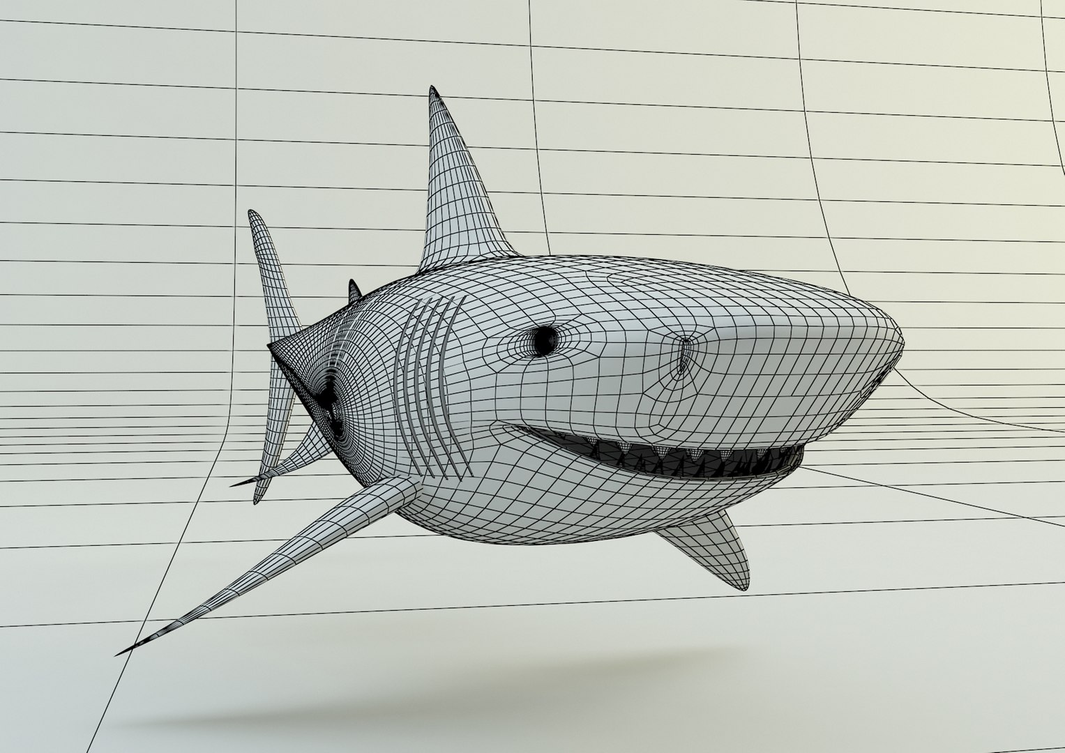 Megalodon Shark Model Model - TurboSquid 2067282