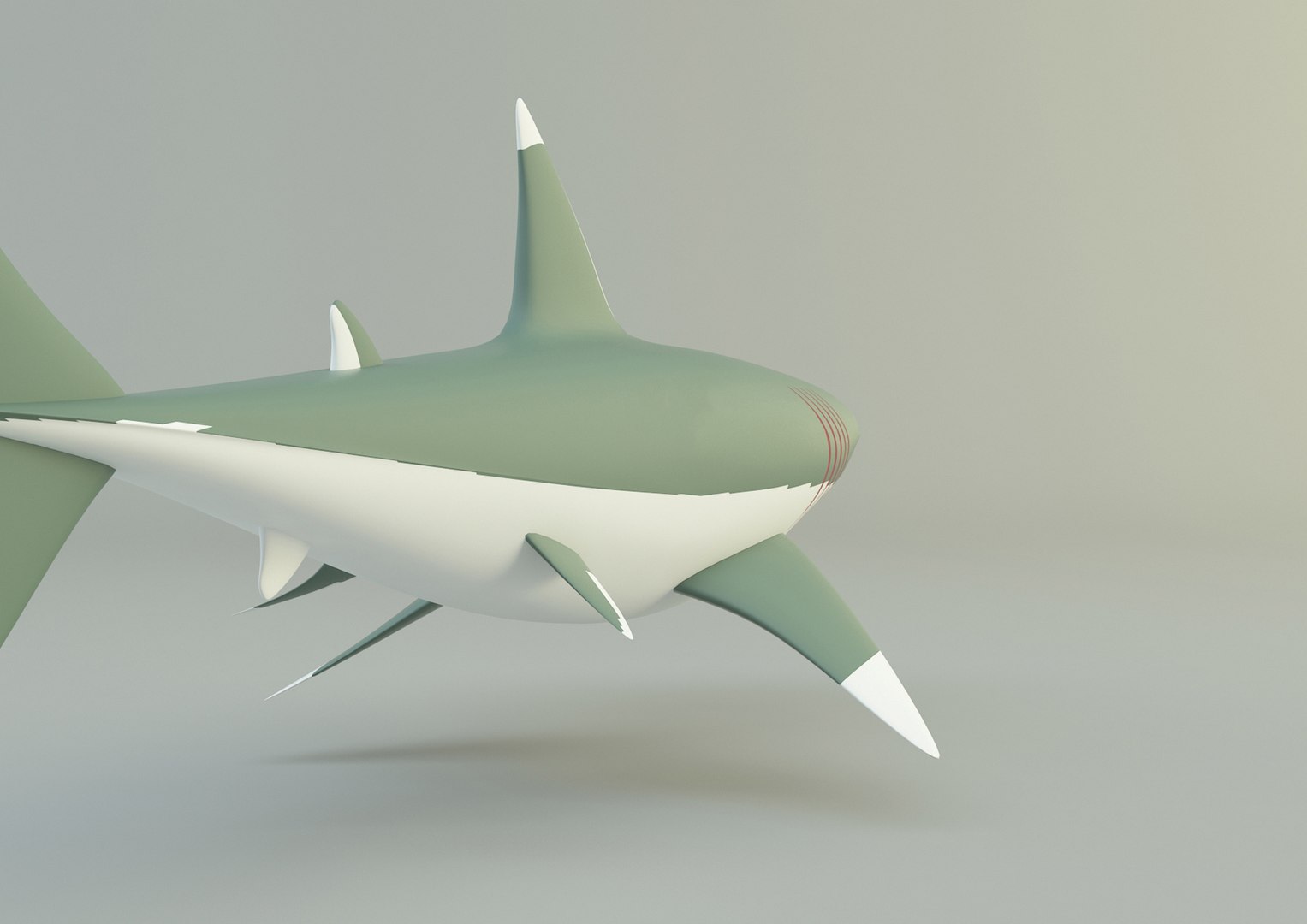 Megalodon Shark Model Model - TurboSquid 2067282