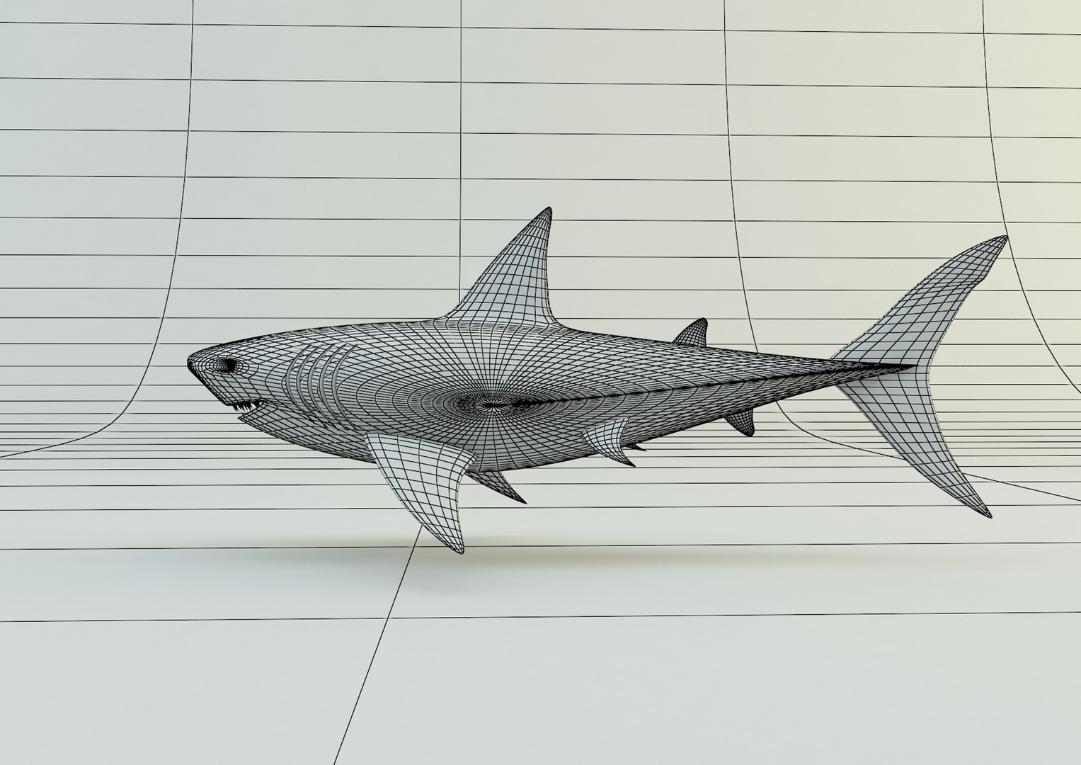 Megalodon Shark Model Model - TurboSquid 2067282