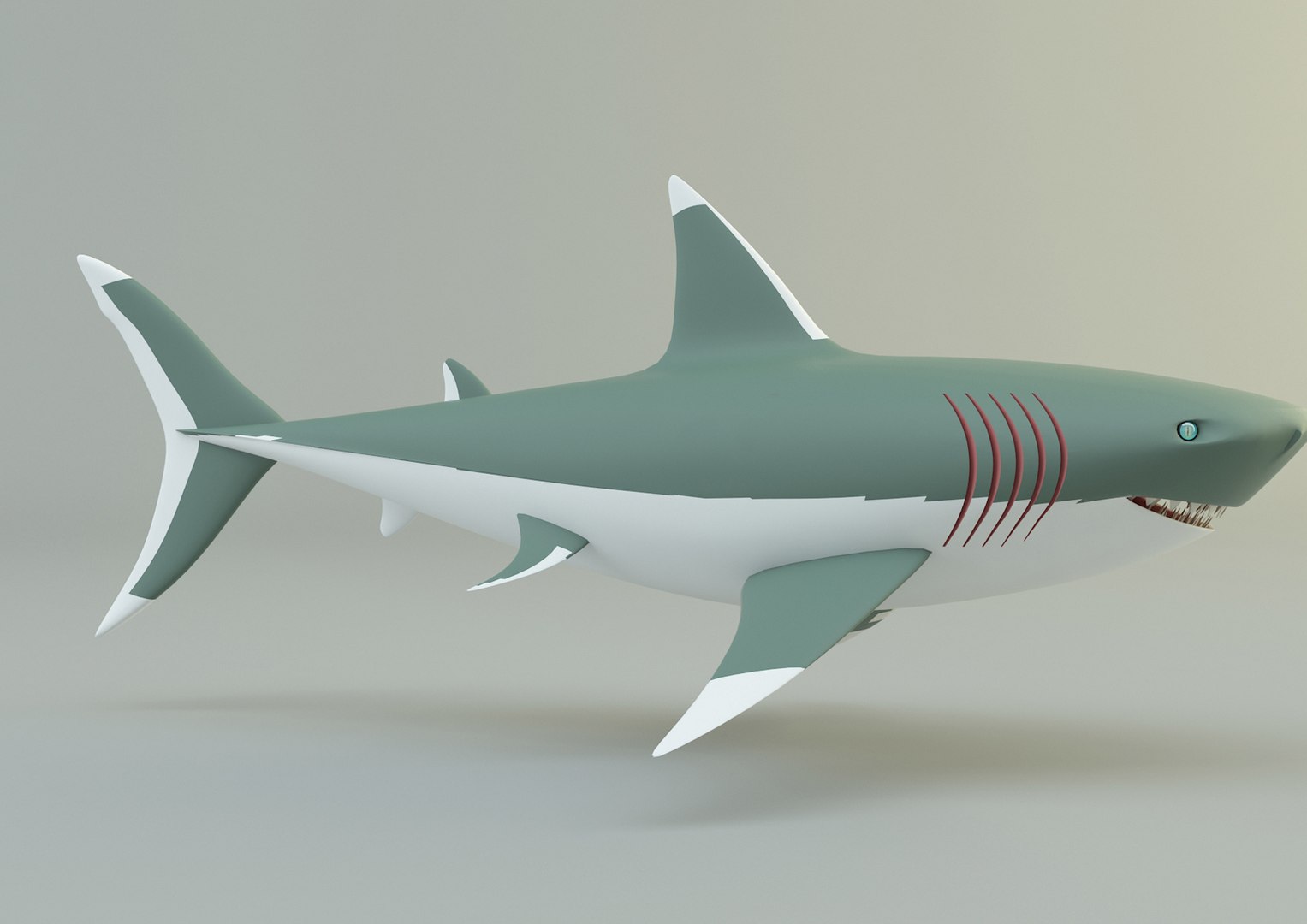 Megalodon Shark Model Model - TurboSquid 2067282