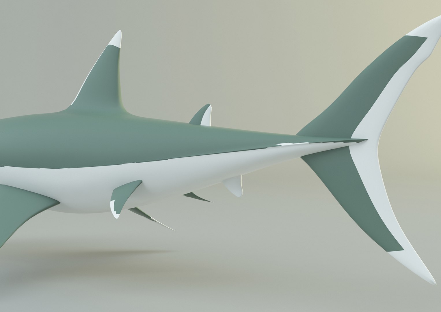 Megalodon Shark Model Model - TurboSquid 2067282