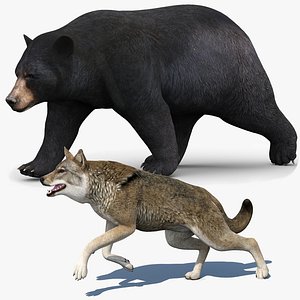 Rigged and Animated Black Bear and Red Wolf Forest Predators 3D Bundle 3D model