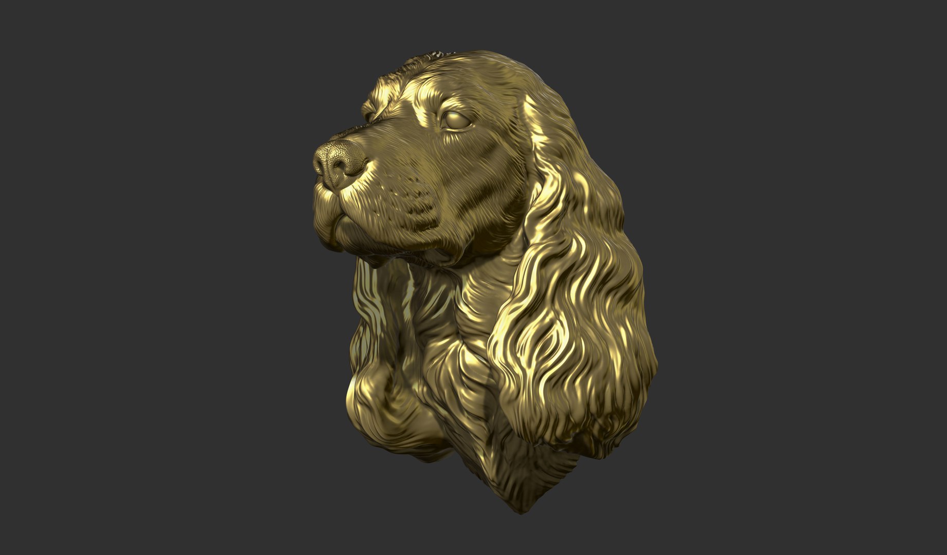 3D English Cocker Spaniel bust model - TurboSquid 2134668