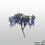 wisteria wysteria plant 3d model