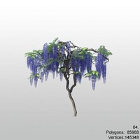 wisteria 04