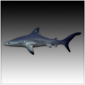Low Poly Blue Shark