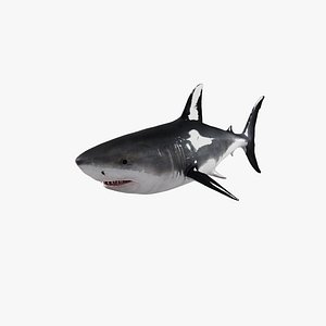 Shark Rigged  Animated