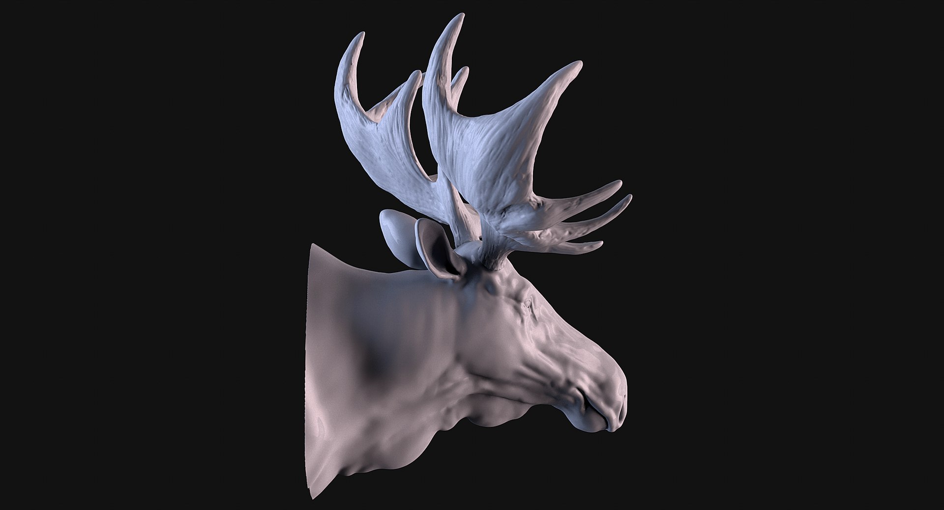 3D Moose Head TurboSquid 2175325 Z03