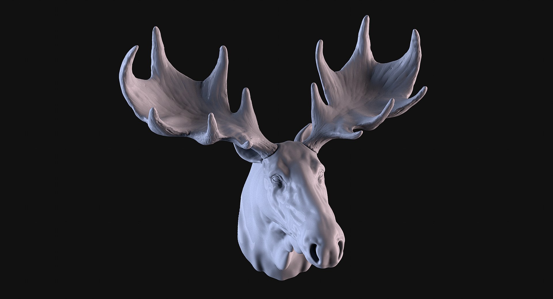 3D Moose Head TurboSquid 2175325 Z01