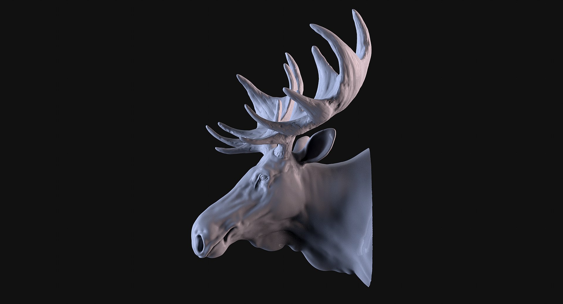 3D Moose Head TurboSquid 2175325 Z07