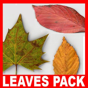 c4d fallen leaves pack