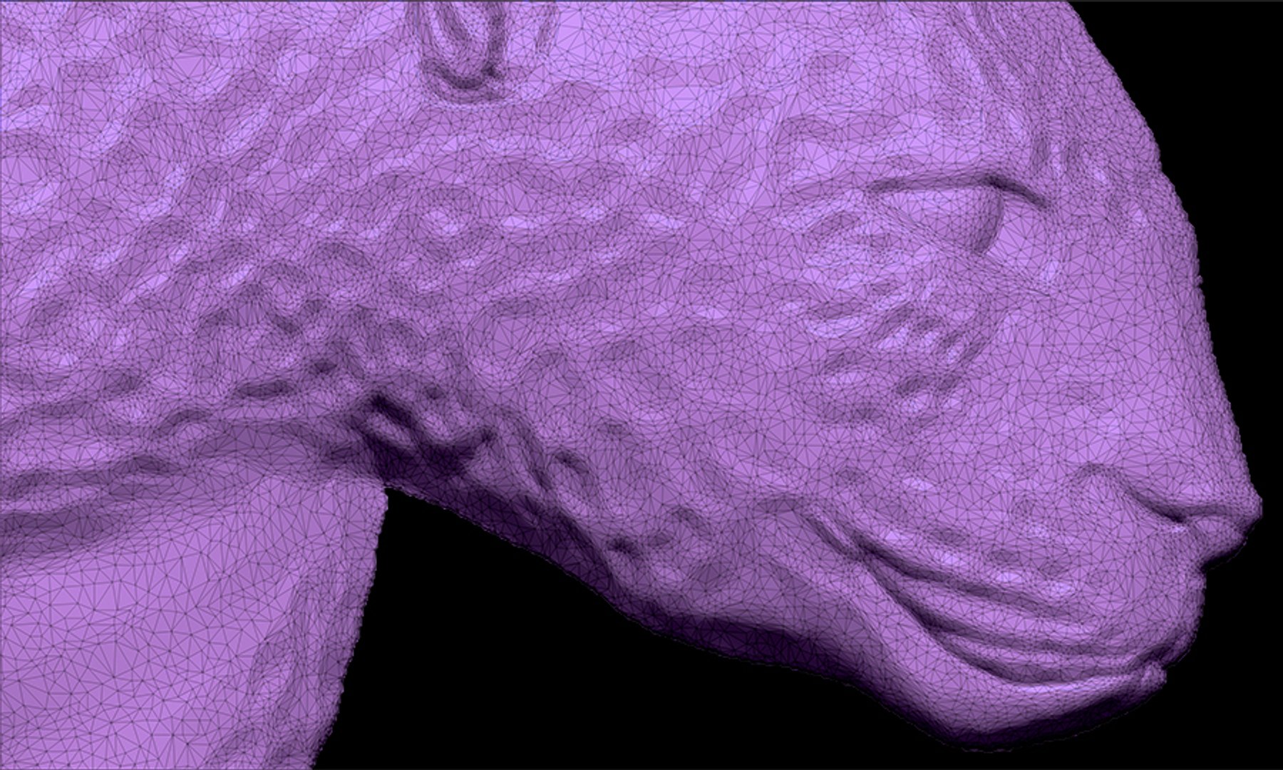 3d Model Leopard