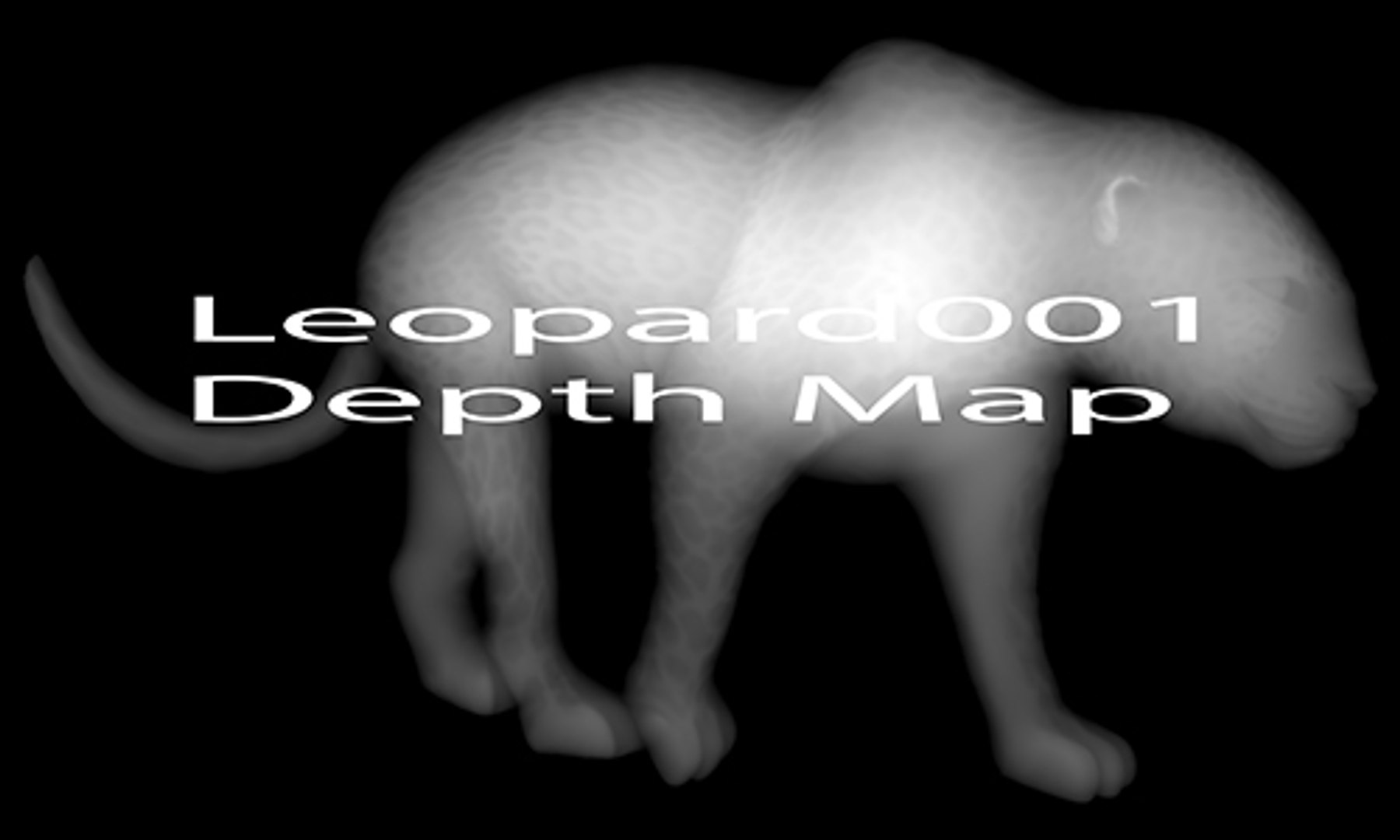 3d Model Leopard