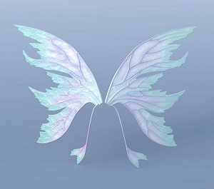 Fairy Wings Set