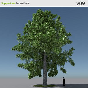 무료 나무 3D 모델 다운로드 용 | Turbosquid