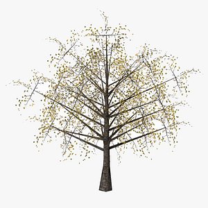 hawthorn autumn low poly