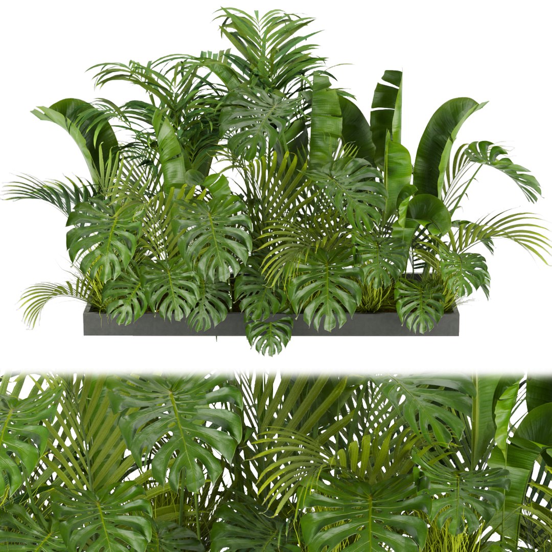 Collection plant vol 300 - outdoor - banana - monstera - leaf - blender -3dmax- cinema4d 3D model https://p.turbosquid.com/ts-thumb/TX/VeH5Wu/5J/1/jpg/1652200520/1920x1080/fit_q87/0a8a05ba21d57282dc4c4e12d6e64738000a27e7/1.jpg