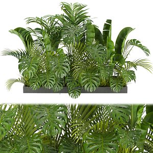 Collection plant vol 300 - outdoor - banana - monstera - leaf - blender -3dmax- cinema4d 3D model