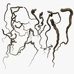 Tree Roots V7 PBR model