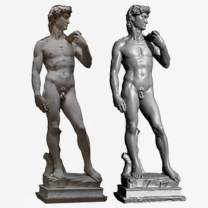 David by Michelangelo Florence RAW 3D scan 16k Texture