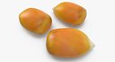 Corn Seed