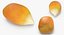 Corn Seed
