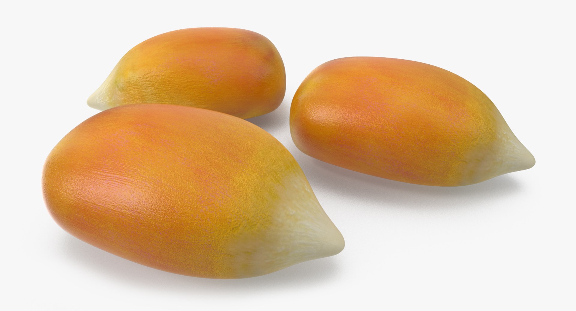 corn seed c4d https://p.turbosquid.com/ts-thumb/TX/gBctch/ZlKmqBvV/cornseedc4dmodel004/jpg/1480155573/1920x1080/fit_q87/88697ec3068213ea9c68ee98b58b6076a9eca3dd/cornseedc4dmodel004.jpg